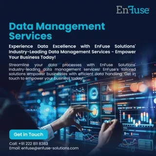 Experience Data Excellence with EnFuse Solutions' Data Management Services