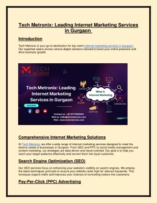 Tech Metronix: Leading Internet Marketing Services in Gurgaon