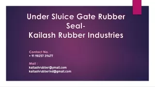 Under Sluice Gate Rubber Seal - Kailash Rubber Industries