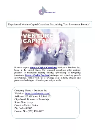 Experienced Venture Capital Consultant Maximizing Your Investment Potential