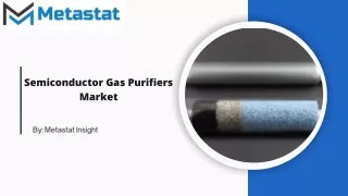 Semiconductor Gas Purifiers Market