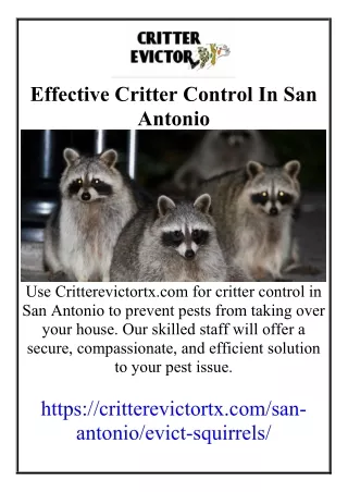 Effective Critter Control In San Antonio