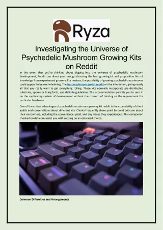 Investigating the Universe of Psychedelic Mushroom Growing Kits on Reddit