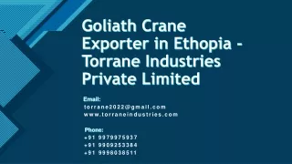 Goliath Crane Exporter in Ethopia - Torrane Industries Private Limited