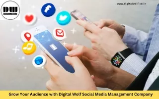 Grow Your Audience with Digital Wolf Social Media Management Company
