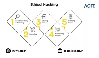 What can I learn after ethical hacking