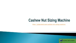 Automatic Raw Cashew Nut Sizing System, Cashew Nut Size Grading Machine Manufact