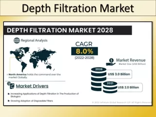 Depth Filtration Market