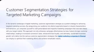 Customer Segmentation Strategies for Targeted Marketing Campaigns