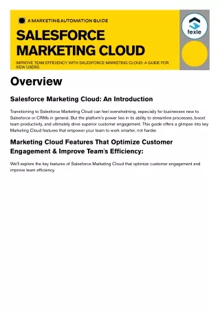 Boost Sales with Effortless Marketing Cloud and Ecommerce Integration Services