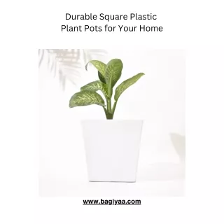 Durable Square Plastic Plant Pots for Your Home