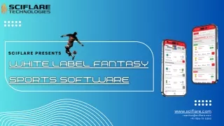 White Label fantasy sports software- Sciflare Technologies