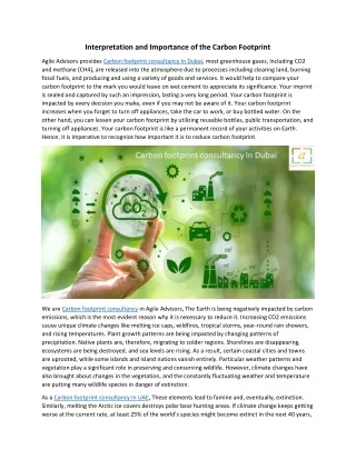 Interpretation and Importance of the Carbon Footprint