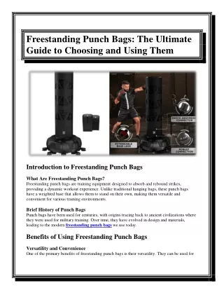 Freestanding Punch Bags The Ultimate Guide to Choosing and Using Them