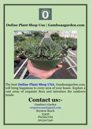 Online Plant Shop Usa  Gamboasgarden.com