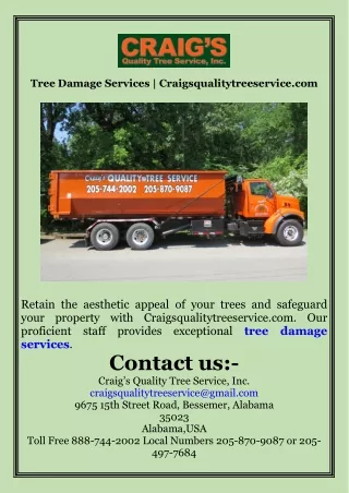Tree Damage Services  Craigsqualitytreeservice.com