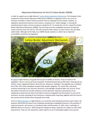 Adjustment Mechanism for the EU Carbon Border 29.6.24