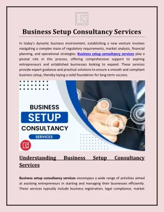 Business Setup Consultancy Services