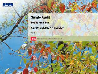 Single Audit Presented by: Carey McKee, KPMG LLP AUDIT