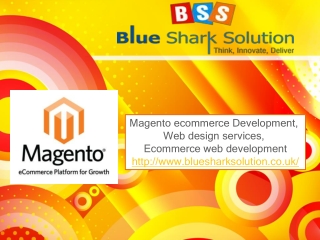 Magento platform for the best web design services
