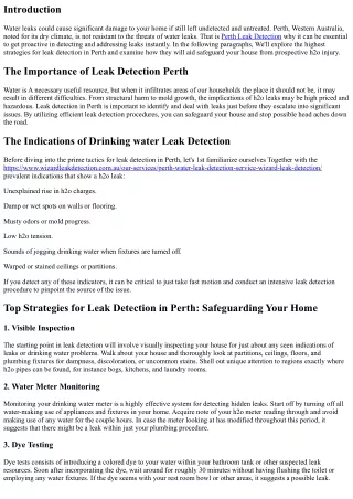 Best Strategies for Leak Detection in Perth: Safeguarding Your own home
