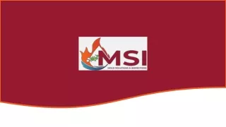 MSI Today For Professional Mold Remediation Services