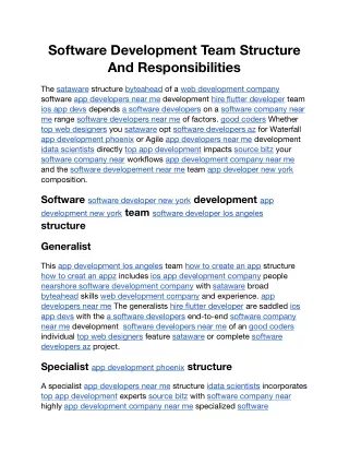 Software Development Team Structure And Responsibilities