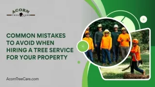 Avoiding Common Pitfalls: A Homeowner's Guide to Hiring Tree Services