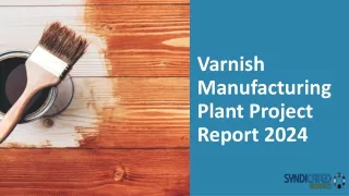 Varnish Manufacturing Plant Project Report 2024