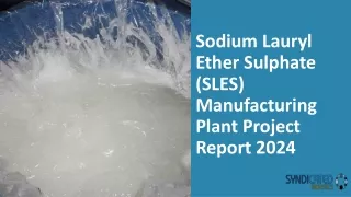 Sodium Lauryl Ether Sulphate (SLES) Manufacturing Plant Project Report 2024