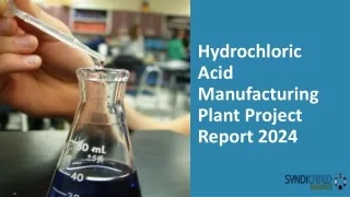 Hydrochloric Acid Manufacturing Plant Project Report 2024