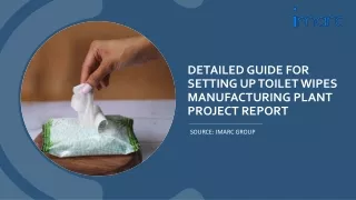 Toilet Wipes Manufacturing Plant Report 2024 PDF