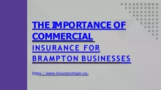 The Importance of Commercial Insurance for Brampton Businesses (1)