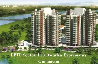 BPTP Sector 113 Gurugram - PDF