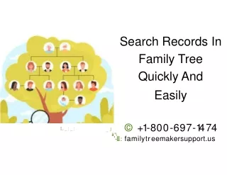 How To Search Records In Family Tree Quickly And Easily?