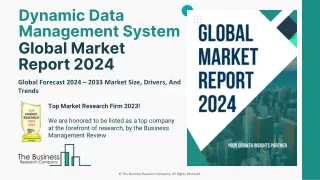 Dynamic Data Management System Market Cutting Edge Trends and Growth Insights