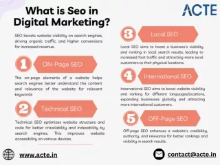Climbing the Search Engine Ladder: A Beginner’s Guide to SEO