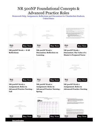 NR 500NP Foundational Concepts & Advanced Practice Roles
