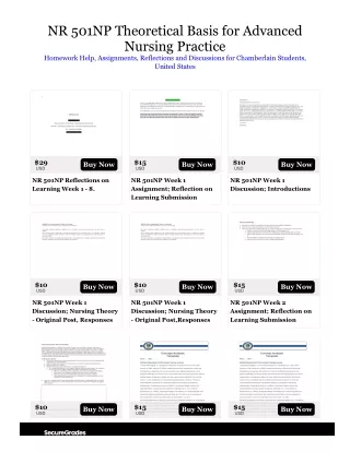 NR 501NP Theoretical Basis for Advanced Nursing Practice