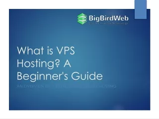 What is VPS Hosting A Beginner's Guide