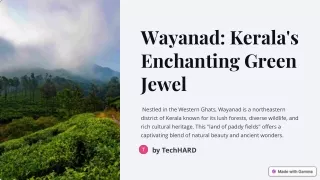 Wayanad-Keralas-Enchanting-Green-Jewel