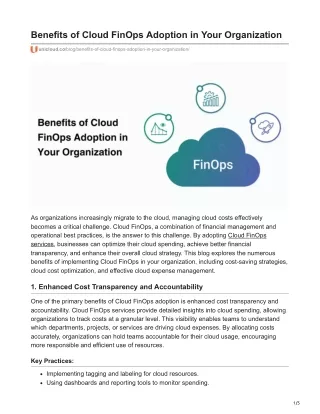 Benefits of Cloud FinOps Adoption in Your Organization