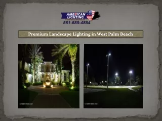 Premium Landscape Lighting in West Palm Beach