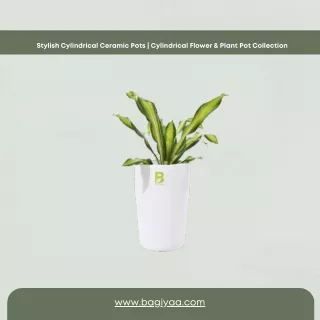 Stylish Cylindrical Ceramic Pots  Cylindrical Flower & Plant Pot Collection