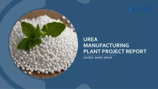 Urea Manufacturing Plant Project Report