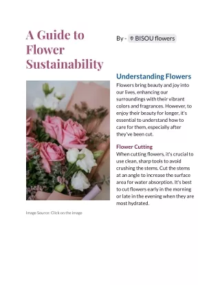 A Guide to Flower Sustainability