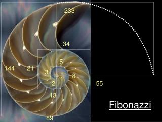 Fibonazzi