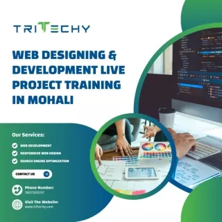 Web Designing & Development Live Project Training In Mohali