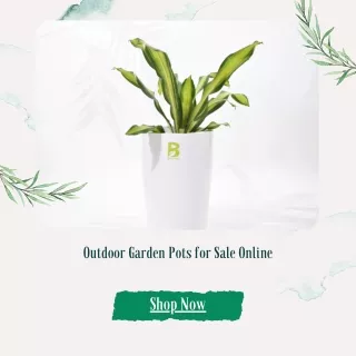 Outdoor Garden Pots for Sale Online