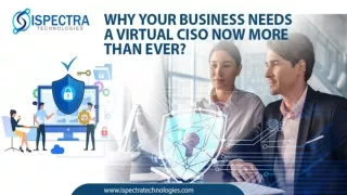 Why Does Your Business Need a Virtual CISO Now More Than Ever